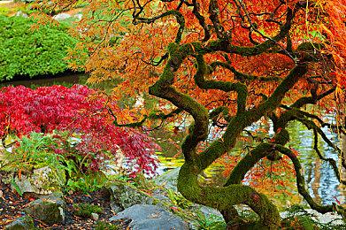 微软XGP服务将升级 停止向不活跃会员收取费用